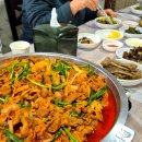 초원생오리 이미지