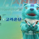 에프씨고려