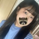 수려하개 이미지