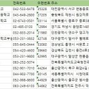 당앞로 네이버블로그