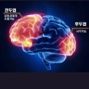 노래하는크레용 이미지