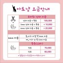 아토냥 이미지