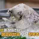 마당오리 이미지