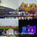 아이와 프로 축구 관람 후기(FC안양홈경기, 오상헬스케어석 시야방해석)
