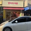 강아지 이모 이미지