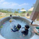 스테이외포 이미지