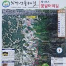 원주공고길 이미지