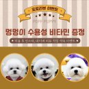 뽀프퍼피