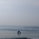 주식회사 소리노리 | 도쿄 근교 가볼만한곳 - 에노시마, 슬램덩크 촬영지 / 가마쿠라 에노덴