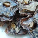 요리하는 집사 이미지