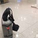 인테리어광장