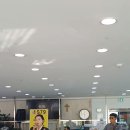 통기타(주간) 이미지