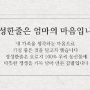 정성한줄 이미지