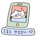 나피어 이미지