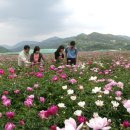 산청에가면 이미지