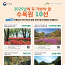10 이미지