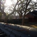 해남읍 단군전 이미지