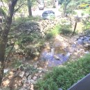 그래그래펜션 이미지