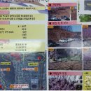 샘물공원(선부동) 이미지