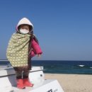 바다여행 이미지