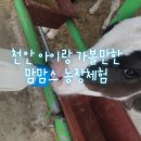 신광2목장 이미지