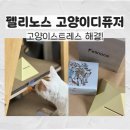 도담캣 | 펠리노스 고양이 페로몬디퓨저 │ 고양이스트레스 낮춰주는 효자템!