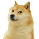 도지 이미지