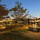 탄금호피크닉공원 3 이미지