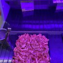 [산동맛집] 소고기를 마음껏 먹을 수 있는 가성비 최고 “꾸웁소”