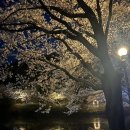 이마트24 아산호서대점