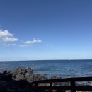 동네약국 이미지