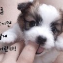 월 - 천안시 동남구 청수11로 24 | 월
