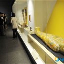 파라오