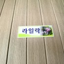 라일락펜션 이미지