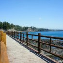 자구리해안 이미지