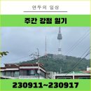 [주간 연두] 탕후루 데뷔, 금손이 되어가는 나날