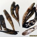 남대천식당 이미지