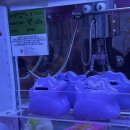 뽑아핑 송리단길점 이미지