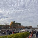 역사관주차장(신) | [나들이] 국립경주박물관 &#39;신라 금관 특별전&#39; 관람 후기(온라인 예약 11/17 10시 오픈 예정)