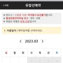 복주는돼지 이미지