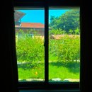 부안 애뜰 펜션 | 부안 애견펜션 부안애뜰펜션 후기