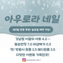 네일다해 이미지