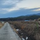 어단2리 이미지