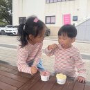 11545-09-61-04 | 화성 백미리 어촌체험 아이랑 가봤어요｜갯벌체험 몇살부터 가능한지 솔직후기