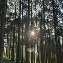 사천 케이블카 자연휴양림 이미지