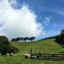 청명목장 이미지