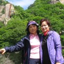 대둔산장 이미지