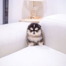 능곡동 근린공원 이미지