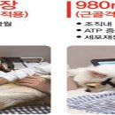 아이봄동물병원 네이버블로그