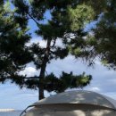 폴라리스야영장 이미지